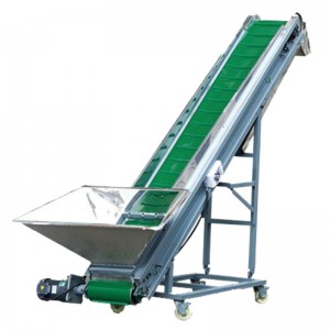 Μεταφορέας ζώνης